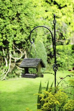 Bird Feeder on Shepard's Hook